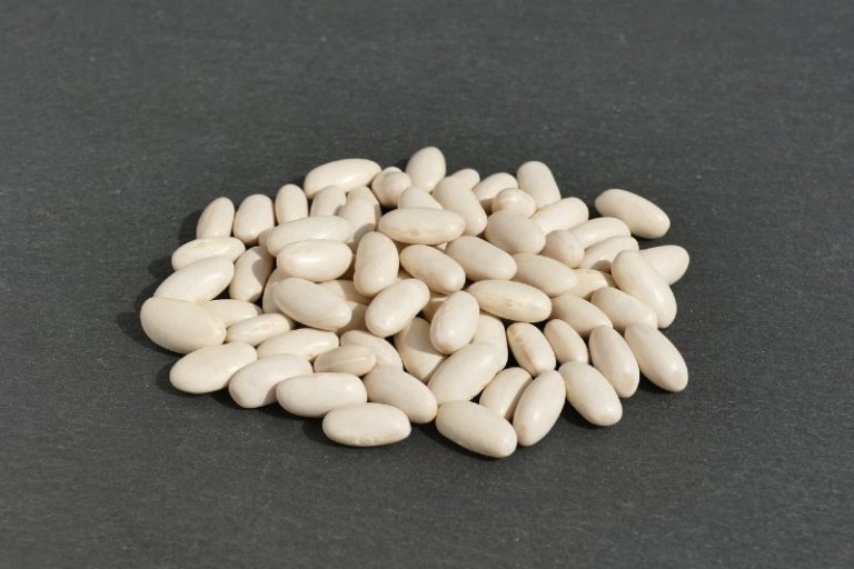 Top Chef Secrets: The Best Cannellini Bean Substitutes You’ve Never Tried!