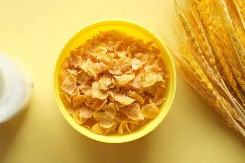 Corn Flakes Substitutes