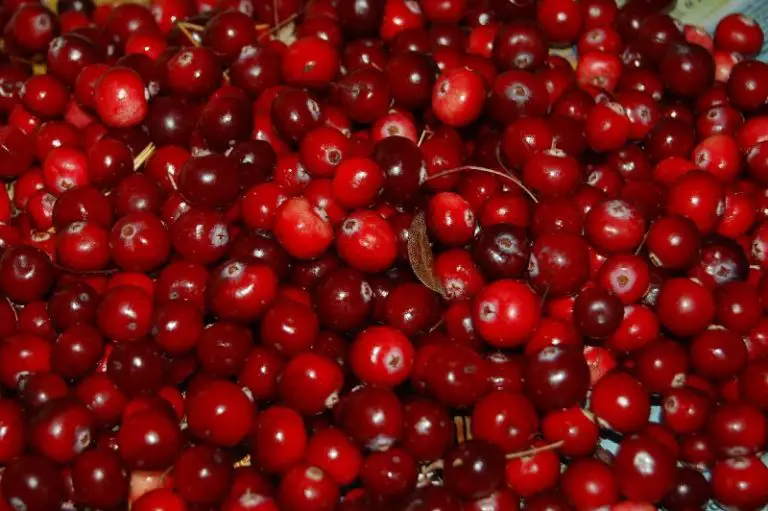 Berry Exciting Alternatives: How to Substitute Cranberries Like a Pro!