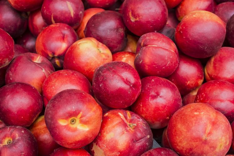 Can You Freeze Nectarines?