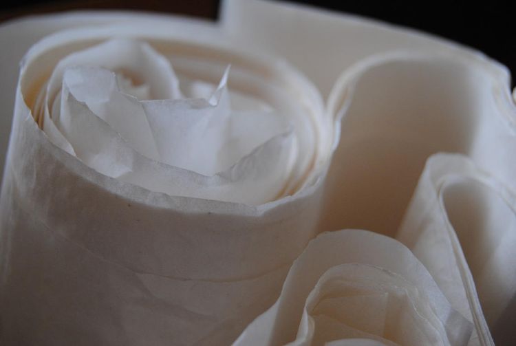 Can You Freeze Parchment Paper?
