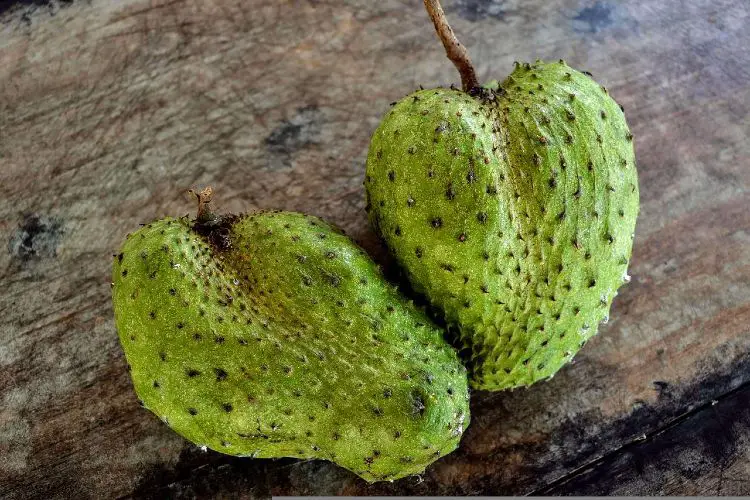 Can You Freeze Soursop?