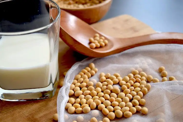 Can You Freeze Soy Milk?