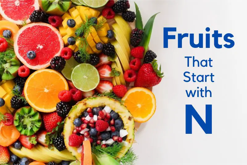 Fruits That Start with N