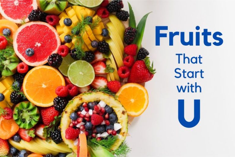Fruits That Start with U (Complete List of 20+ Fruit Names)