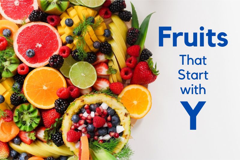 Fruits That Start with Y