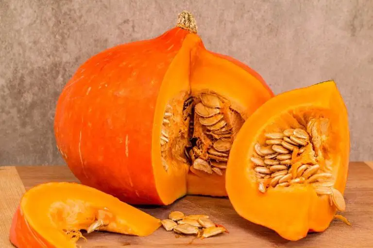 Best Pumpkin Substitutes: Surprising Ingredients That Will Take Your Dishes to The Next Level!
