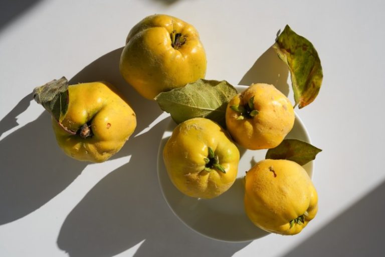 What Does Quince Taste Like?