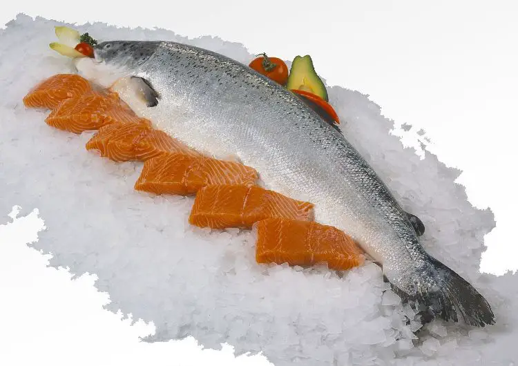 How Long Can You Keep Raw Salmon In The Fridge?