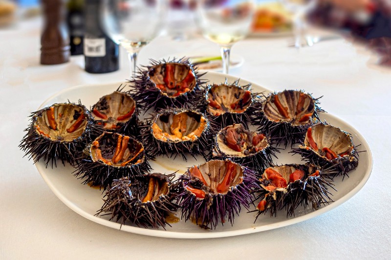 Sea Urchin Taste