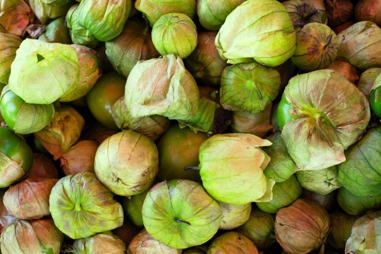 Best Tomatillo Substitutes Every Foodie Needs to Try!